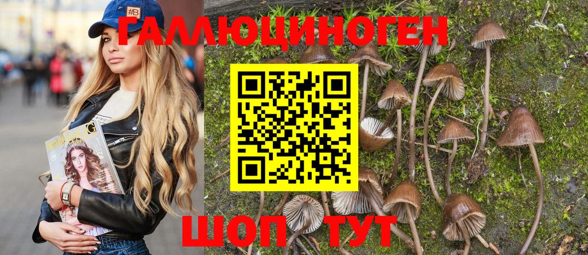 Семёнов  Псилоцибиновые грибы мухоморы  Вход с VPN 